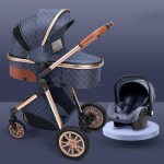 stylish-high-view-stroller-lightweight-folding-babyblush-1